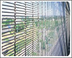 Decorative Fences