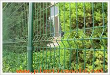 Wire Mesh Fence