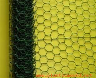 Hexagonal Netting