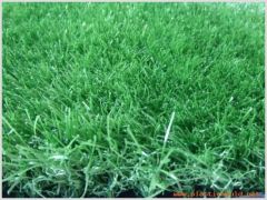 artifical turf, artifical grass