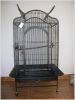 parrot cage