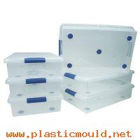 Storage_box_mold