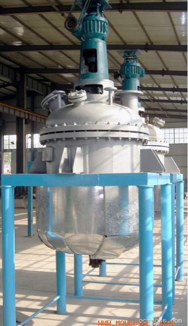 magnetic stirred reactor-WHXINGYU-China