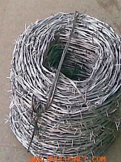 barbed wire