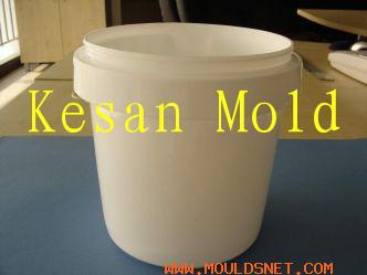 ks mould -1