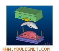 injection mould