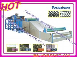 PE Plastic Rigid Flat Net and Geonet Machine