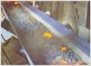 shengrun Ignition-resistant belt conveyor,china,h