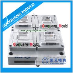 ZY801 thin wall lunch box mould,packing box mould