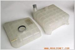 plastic auto mold---water tank