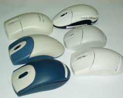 mouse mold