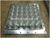 egg tray mold