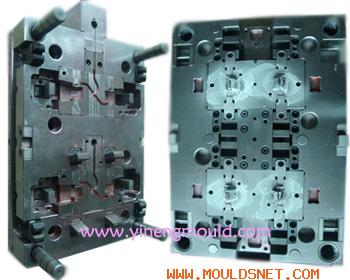 Two shot mould