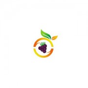 Zhaoxian Huanyang Fruit Bag Co., Ltd. Logo